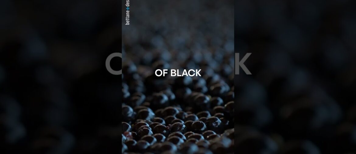 Wine Reels of the day : Domaine de Baronarques, La Capitelle de Baronarques, 2019, Limoux