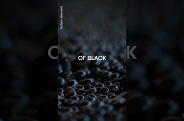 Wine Reels of the day : Domaine de Baronarques, La Capitelle de Baronarques, 2019, Limoux