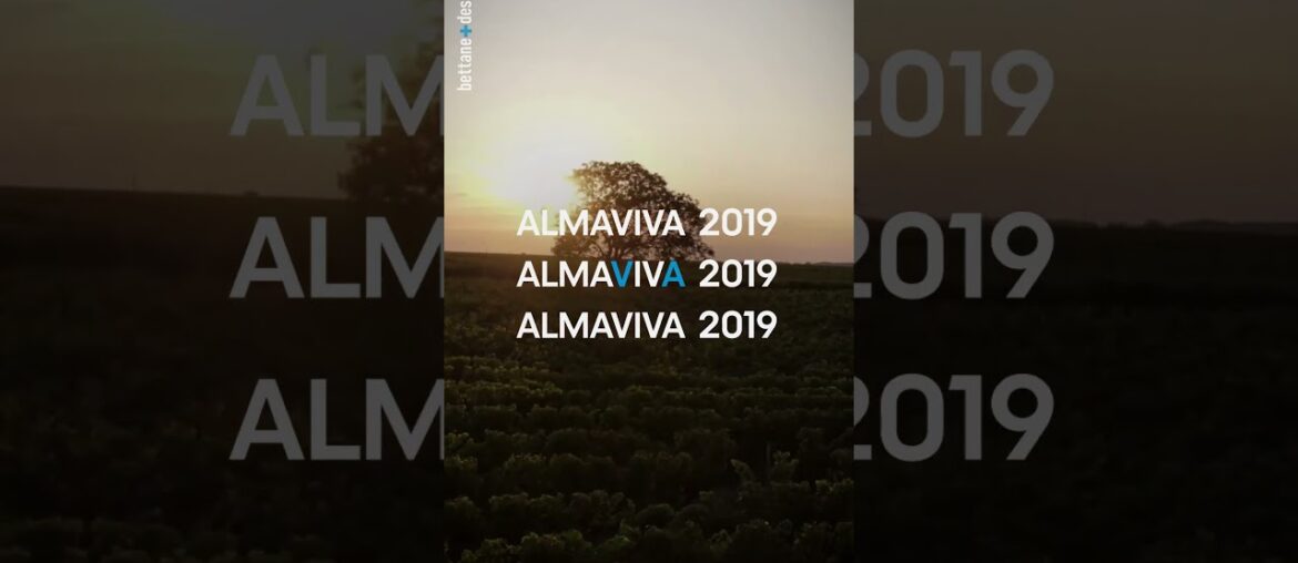Wine Reels of the Day : Vina Almaviva, Almaviva 2019, Puente Alto