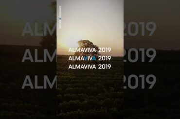 Wine Reels of the Day : Vina Almaviva, Almaviva 2019, Puente Alto