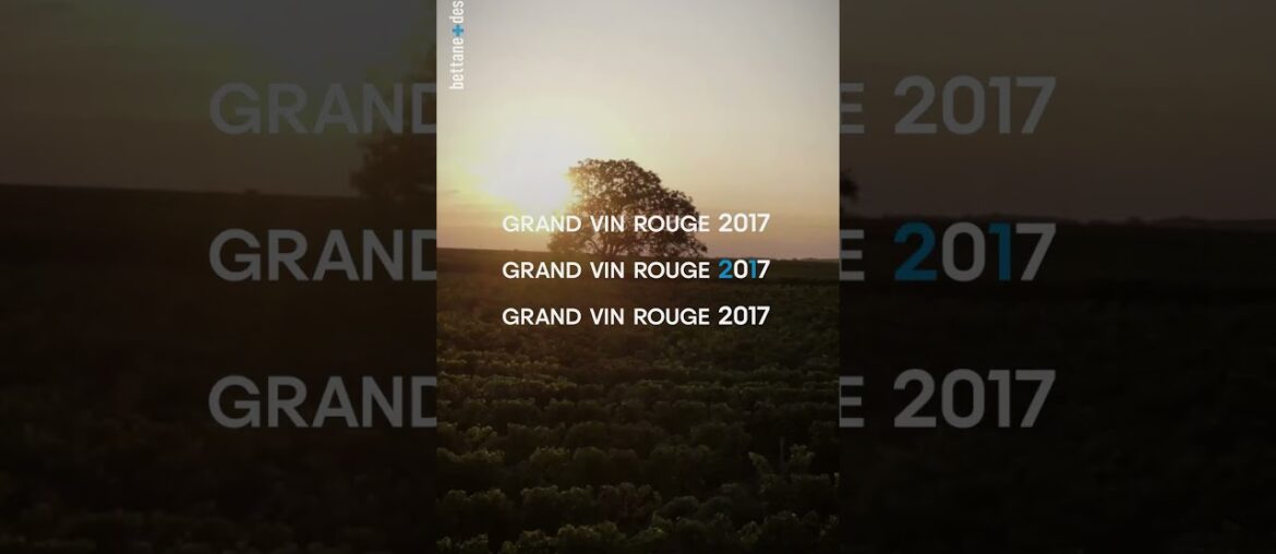 Wine Reels of the day : Domaine de Baronarques, Grand Vin Rouge, 2017, Limoux