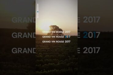 Wine Reels of the day : Domaine de Baronarques, Grand Vin Rouge, 2017, Limoux