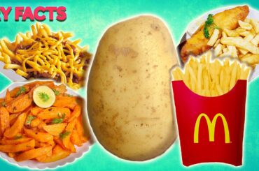 Fascinating Fried Facts About French Fries