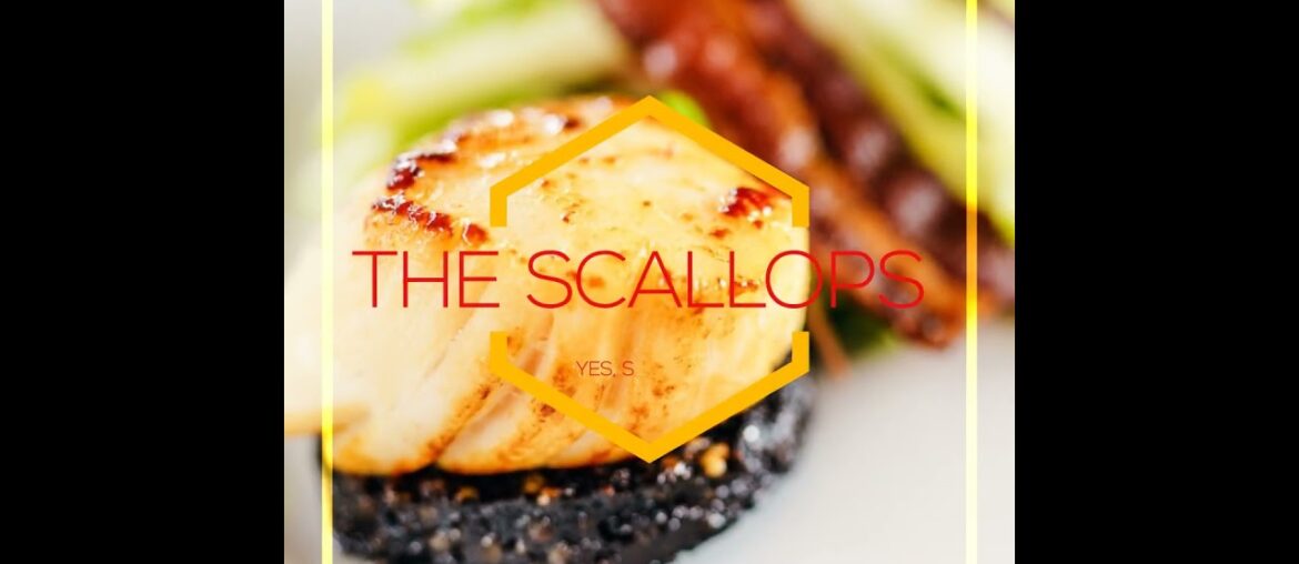 Happy National Coquilles St Jacques Day Happy National Coquilles St Jacques Day