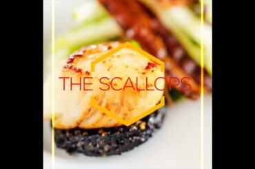 Happy National Coquilles St  Jacques Day