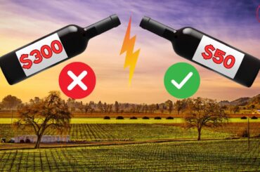 Napa Valley Cabernet Sauvignon for $50 or Less