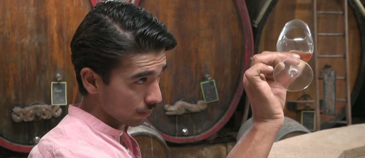 A young Afghan refugee wants to make his name in French wine-making