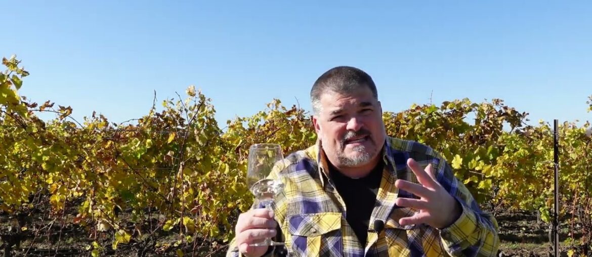 Romain Moreau 2021 Coteaux D'Ancenis Malvoisie (Loire, France) Romain Moreau 2021 Coteaux D'Ancenis Malvoisie (Loire, France)