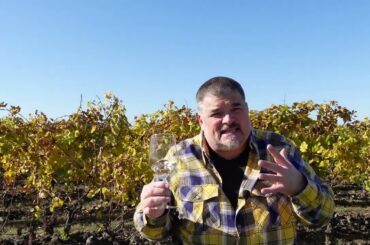 Romain Moreau 2021 Coteaux D'Ancenis Malvoisie (Loire, France)