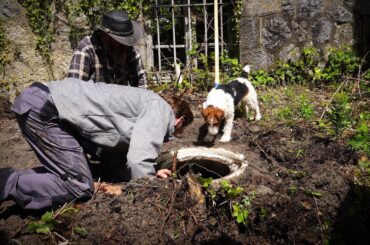 Collapsing a chateau wall to save the chateau.