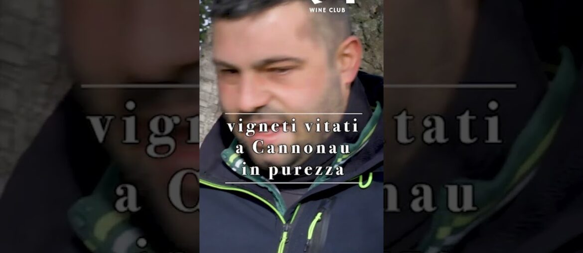 Cantina Vike Vike – Il french affair di Simone Sedilesu Cantina Vike Vike - Il french affair di Simone Sedilesu