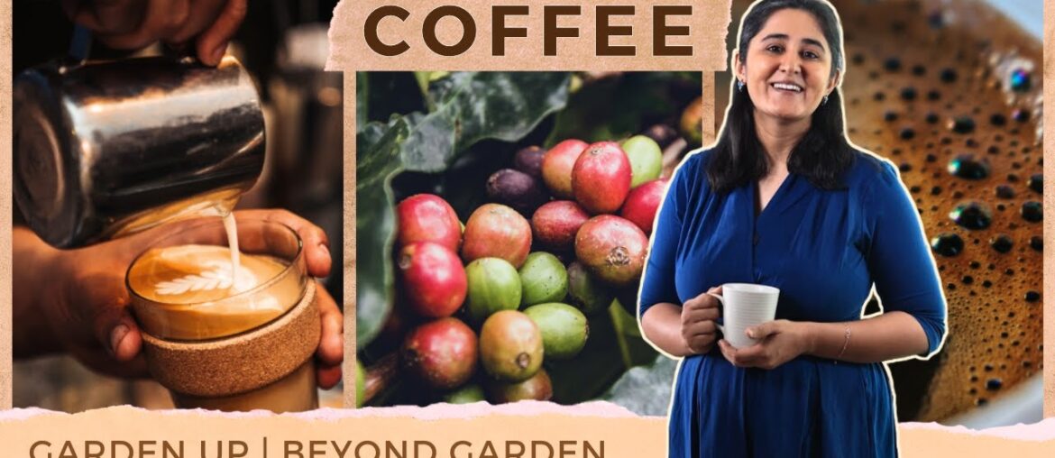 From nothing to a billion dollar market! How did it all start? | Ep. 5 | Beyond Garden From nothing to a billion dollar market! How did it all start? | Ep. 5 | Beyond Garden