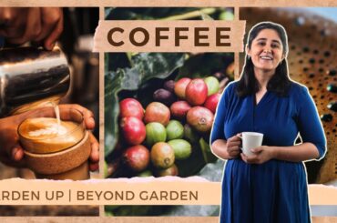 From nothing to a billion dollar market! How did it all start? | Ep. 5 | Beyond Garden