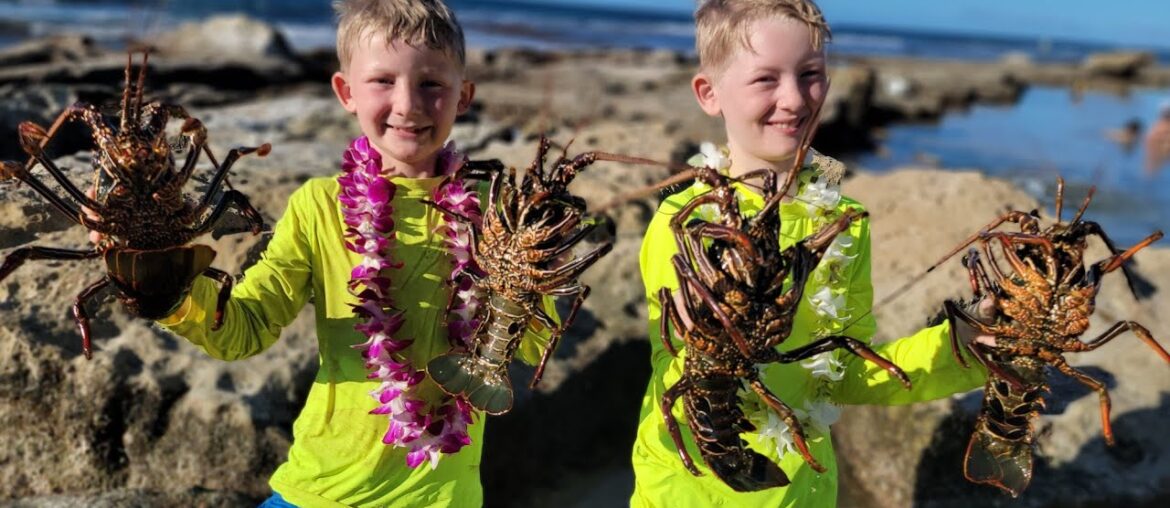 9 Days Fishing & Foraging in Hawaii – Lobster Diving + Spearfishing Catch & Cook 9 Days Fishing & Foraging in Hawaii - Lobster Diving + Spearfishing Catch & Cook