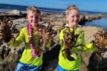 9 Days Fishing & Foraging in Hawaii - Lobster Diving + Spearfishing Catch & Cook