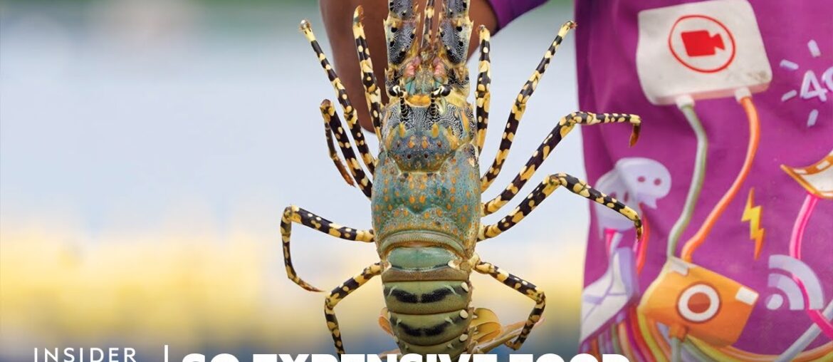 So Expensive Food Season 2 Marathon | So Expensive Food | Insider Business