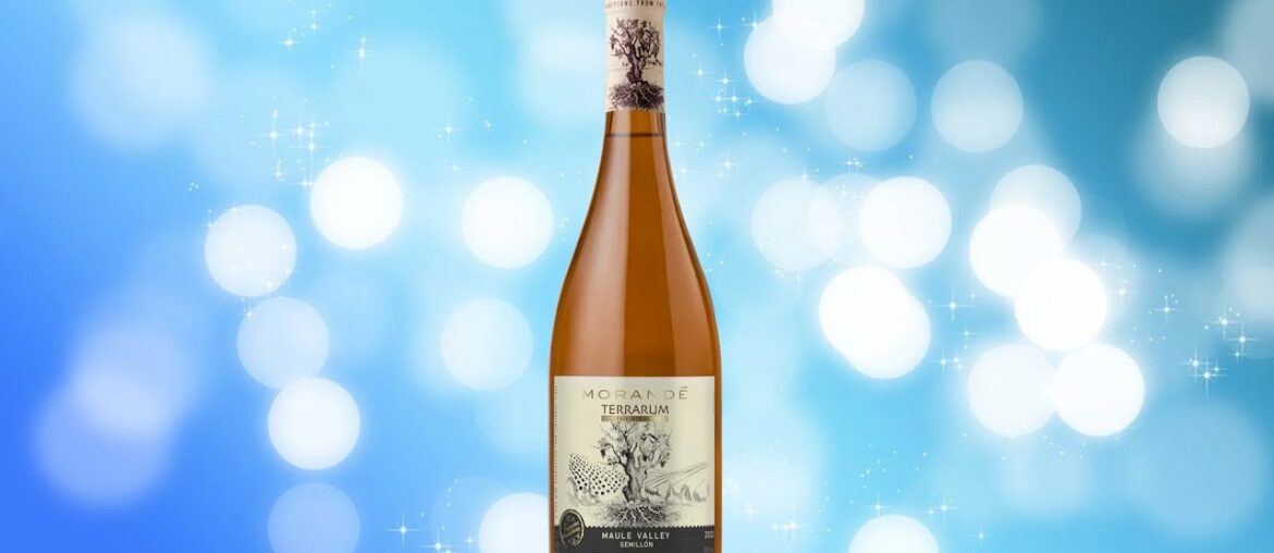 Review of Morande Terrarum Semillon 2022 white wine