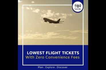 Discover the Magic of Paris with Travelovibe Planners: Tour and Travel Services