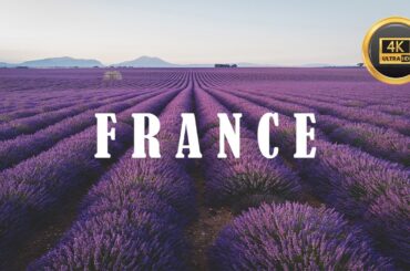 From Paris to Provence: Exploring the Best of France