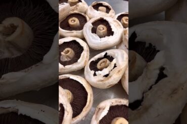 The best Beef Bourguignon home delivered for the nights cooking is not an option