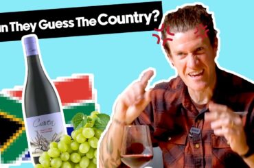 Wines For Insane VALUE That Could Be South African, French Or Aussie? | Blind Wine Reviews