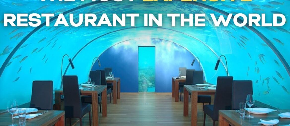 Counting Down to the Most Expensive Dining Experience Ever