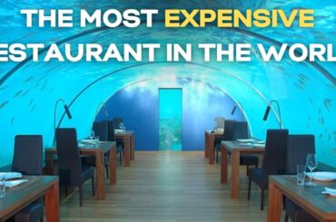 Counting Down to the Most Expensive Dining Experience Ever