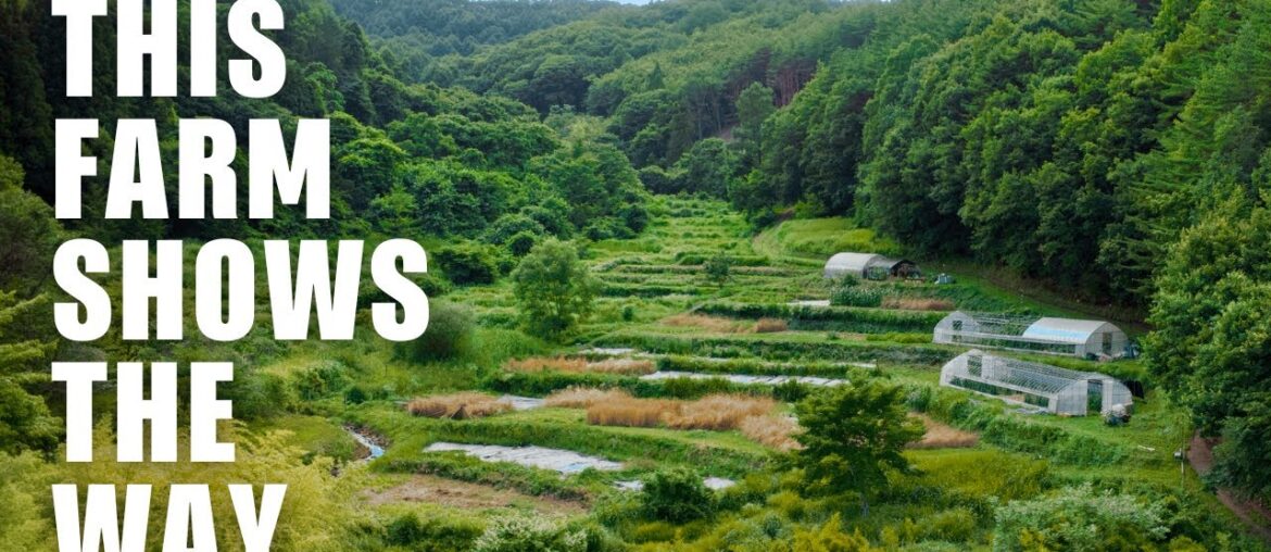 NO TILL FARM Pioneers How To GROW Great Food Sustainably NO TILL FARM Pioneers How To GROW Great Food Sustainably