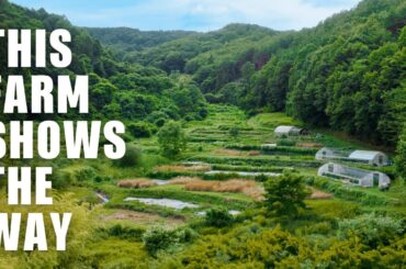 NO TILL FARM Pioneers How To GROW Great Food Sustainably