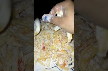 french fries recipe full vlog dekhne ke liye mere Chennal ko subscribe karen TNX for watching.....