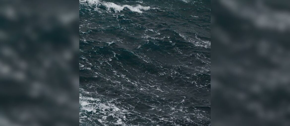 FRENCH POLICE - Port Wine [OFFICIAL AUDIO]