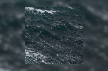 FRENCH POLICE - Port Wine [OFFICIAL AUDIO]