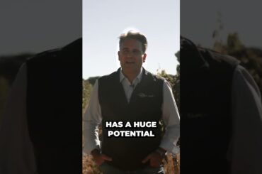 The Secret of Spanish Wine: Bodegas Vetus Reveals All!