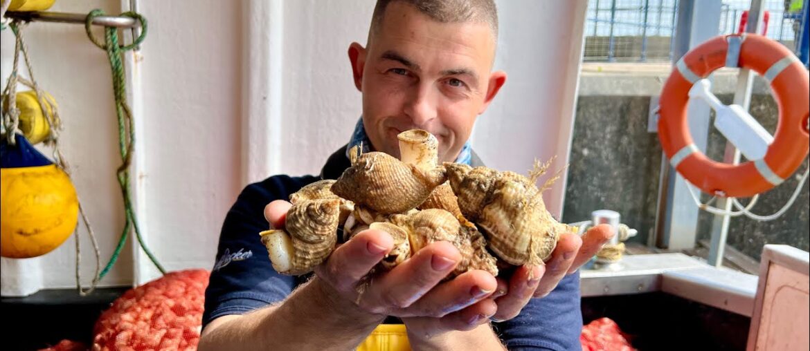 Commercial Fishing – A day in the Life of a Commercial Whelk Fisherman | The Fish Locker Commercial Fishing - A day in the Life of a Commercial Whelk Fisherman | The Fish Locker