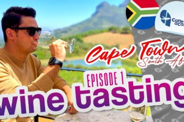 Cape Town Travel Guide: 1 - Wine Tasting