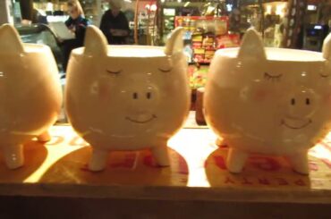 I Found French PLATES & Old Pepsi-Cola CRATES at French Creamery Blue Heron in OREGON!!