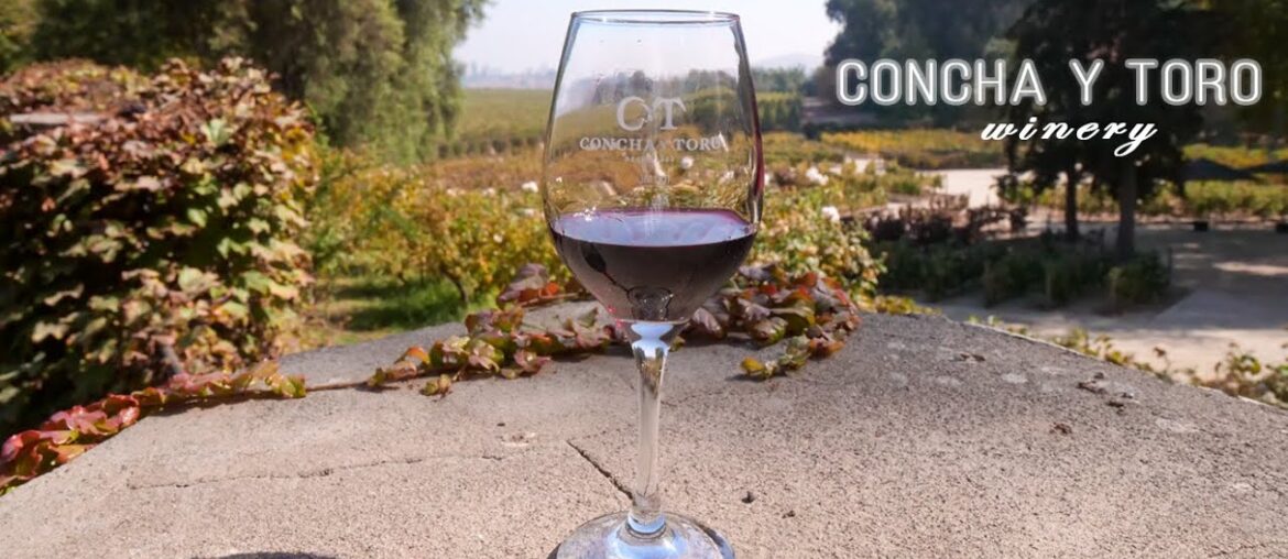 From Vine to Glass: Exploring the Enchanting Concha y Toro Winery in Santiago, Chile (4K) From Vine to Glass: Exploring the Enchanting Concha y Toro Winery in Santiago, Chile (4K)