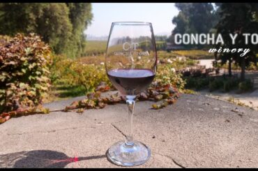 From Vine to Glass: Exploring the Enchanting Concha y Toro Winery in Santiago, Chile (4K)