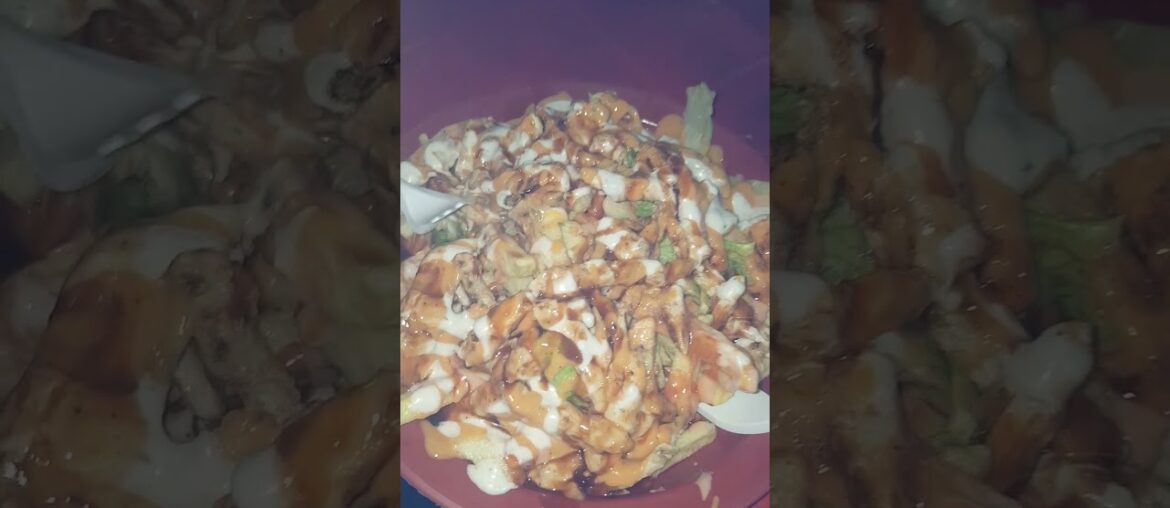 Loaded Fries | Fries In Barkat Market By Magairo TV