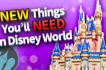 17 Things I JUST Started Bringing to Disney World