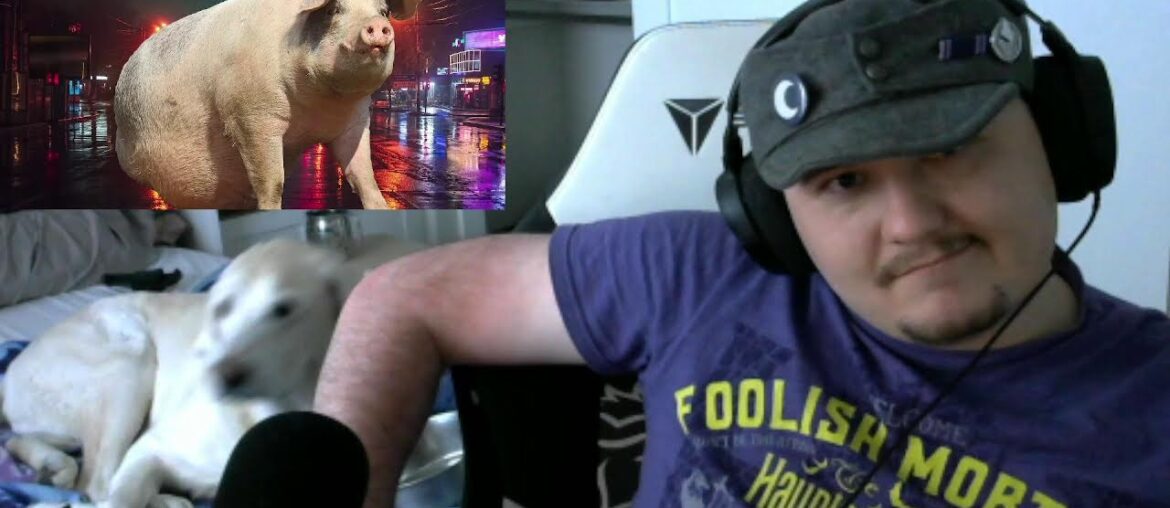 Joe's 4K Subscriber Reaction: Lazerpig: A perfectly sober discussion on WW1 French Tanks