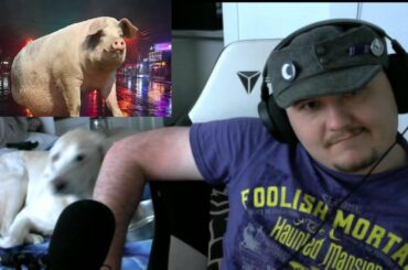 Joe's 4K Subscriber Reaction: Lazerpig: A perfectly sober discussion on WW1 French Tanks