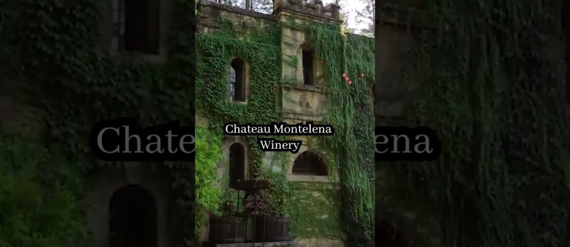 Best Wineries in Napa Valley #shorts #napavalley