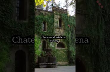 Best Wineries in Napa Valley #shorts #napavalley