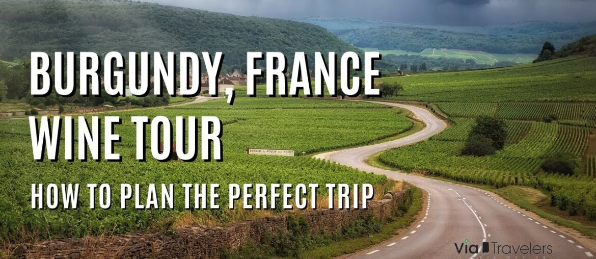 Burgundy, France Wine Tour: How to Plan the Perfect Trip