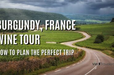 Burgundy, France Wine Tour: How to Plan the Perfect Trip