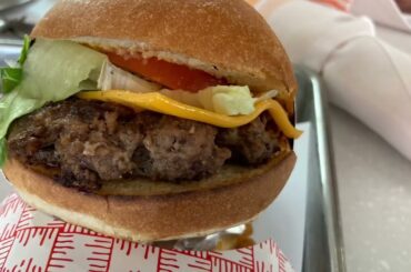 Holland America Eurodam Dive In Burgers May 4th 2023