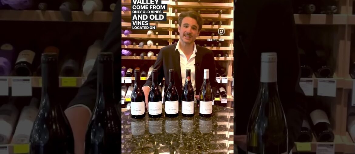 French Winemaker Bastien Tardieu of Tardieu-Laurent Wines