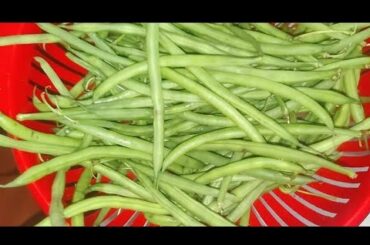Simple recipe for FRENCH BEANS