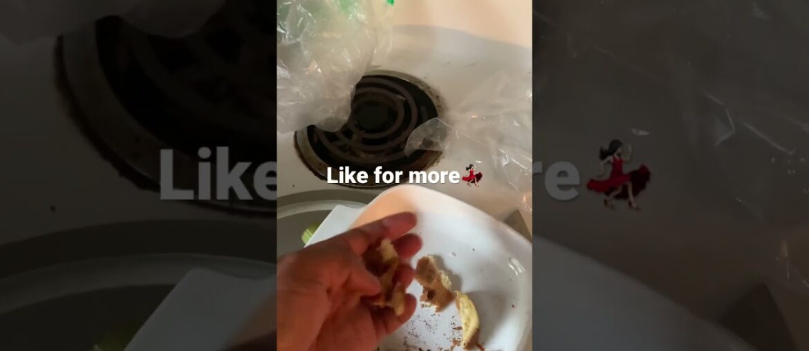 Gourmet meals for Le Chickens